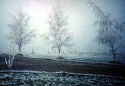 Frost